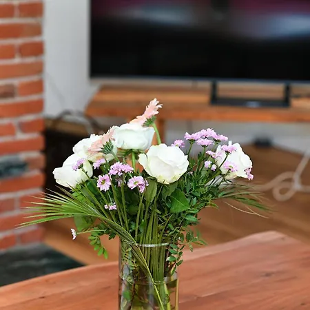 Herzmuschel Tatil Evi *